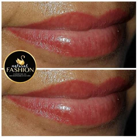 labios full color suave